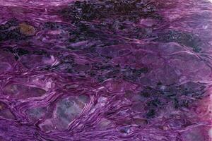 macro mineral stone Charoite on a white background photo
