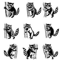 A playful raccoon peeks out from behind a tree vector