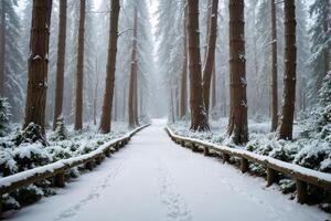Snowy Forest Path with Tall Trees and Wooden Railing photo