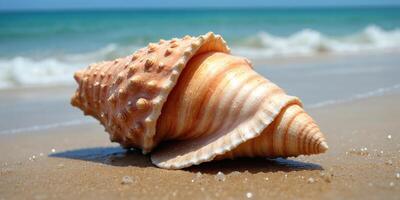 Seashell on Sandy Beach with Ocean Waves in Background photo