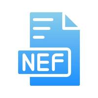 Nef document format icons. symbol extension with a stylish and dynamic gradient fill. vector