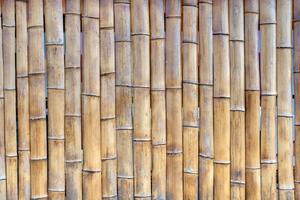 wall made of vertically aligned bamboo stalks, tightly packed together. The bamboo is light brown with darker streaks and nodes characteristic of bamboo. photo