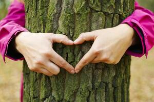 Hands making heart shape around tree trunk photo