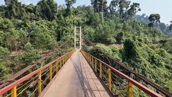 Suspension bridge surrounded by lush tropical forest, ideal for Earth Day and nature exploration themes video