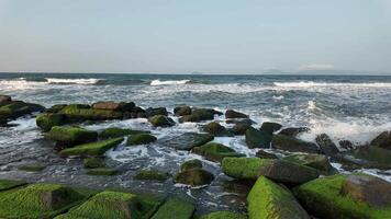 olas choque en contra musgo cubierto rocas en un sereno playa, simbolizando naturalezas tranquilidad y tierra día video