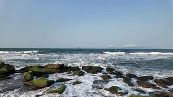 Waves crash over moss covered rocks on an ocean shore, symbolizing tranquility and Earth Day video