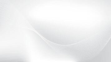 Abstract white and gray color, modern design stripes background with curve lines, wavy pattern. illustration. vector