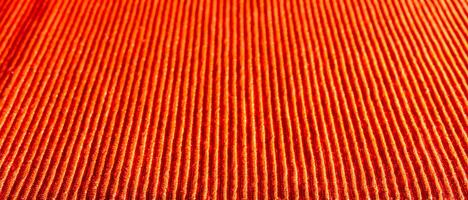 Abstract background of red parallel lines. photo