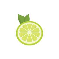 A lime slice is shown on a white background vector