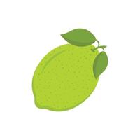 A lemon with leaves on it is shown vector