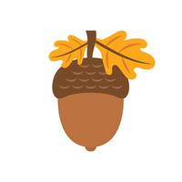 An acorn with leaves and acorns on it vector