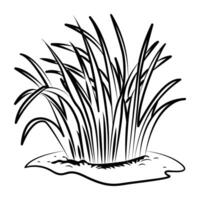 A hand drawn icon of grass vector