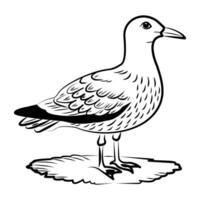 Hand drawn style icon of seagull vector