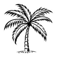 Palm tree icon in doodle style vector