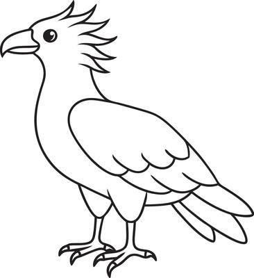 Bird Illustration art