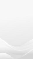Abstract White Background With Wavy Lines vector