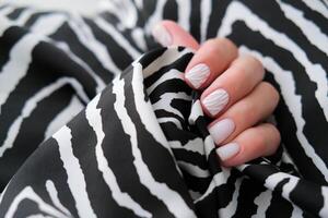 Female hand with a beautiful manicure on a zebra print background. Winter trend, polishing milky color with stripes pattern on nails with gel polish, shellac. photo