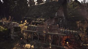 A rustic cottage surrounded by nature in a tranquil forest setting video