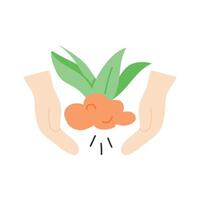 Hands nurturing a growing plant in soil vector