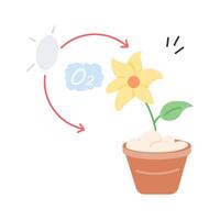 Plant converting CO2 into oxygen through photosynthesis vector