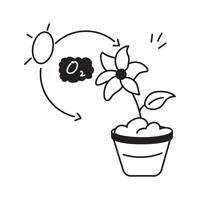 Plant converting CO2 into oxygen through photosynthesis vector