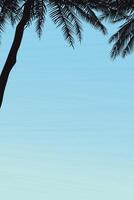 Silhouette palm trees with blue sky vertical background graphic illustration have blank space. vector