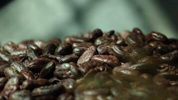 Roasted cocoa beans, closeup of cocoa video