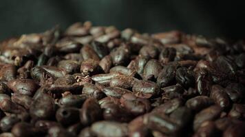 Roasted cocoa beans, closeup of cocoa video