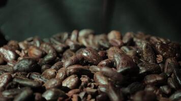 Roasted cocoa beans, closeup of cocoa video