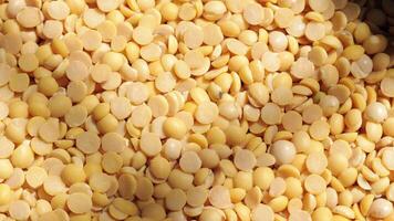 Soy, closeup of soybeans seeds, yellow soy bean video