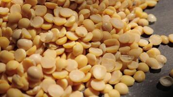 Soy, closeup of soybeans seeds, yellow soy bean video