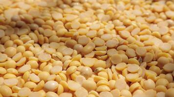 Soy, closeup of soybeans seeds, yellow soy bean video