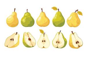 flat clipart. Sweet pear in realistic style. Easy to change colors. vector