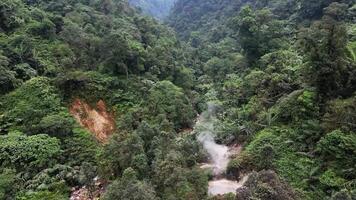 Drone flying in the forest of Mount Halimun Salak National Park, Bogor, Indonesia. Moving forward in real time. Seen below the smoke from the crater, clear river flow and dense green forest. video