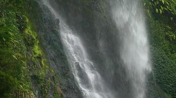 A powerful waterfall flows down a cliff full of green moss, flanked by dense green vegetation, providing a lush and mesmerizing natural view. video