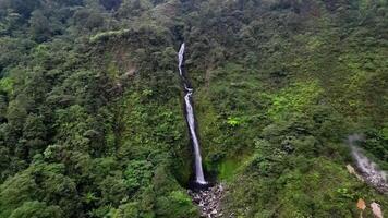 Called Curug Cikawah because this waterfall is located around the crater of Mount Salak, Bogor, Indonesia. Surrounded by dense green forests and a crater that is still actively emitting smoke. video