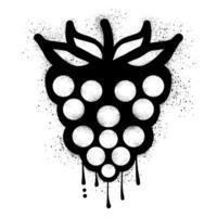 Raspberry graffiti with black spray paint vector