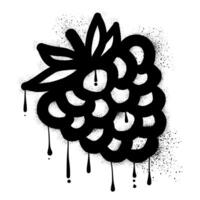 Raspberry with black spray paint graffiti vector