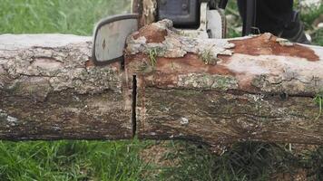 The Chainsaw is Skillfully Cutting Through a Thick Log Surrounded by Lush Green Grass video