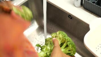 It is essential to wash fresh broccoli thoroughly using running water for optimal cleanliness video