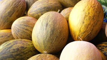 A colorful and delicious variety of fresh melons is currently being displayed at the local market video