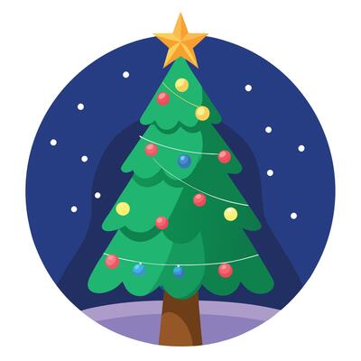 Christmas tree light up in the night with star at top.