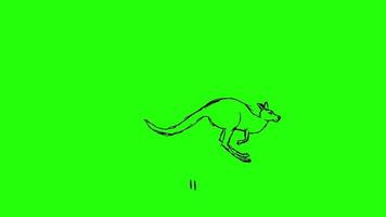 a green background with a kangaroo running video