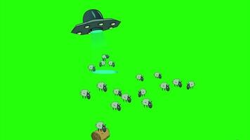 alien spaceship abducting sheep from grazing field video