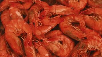 A close-up view of the shrimp fried in oil in a frying pan. video