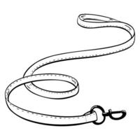 Discover this stylish dog leash, the perfect accessory for pet walking and effective training. sketch illustration. Pet shop vector