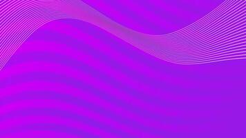 Purple Background Wave Lines Abstract Motion Loop. video