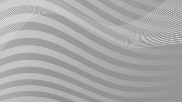 Grey Background Wave Lines Abstract Motion Loop. video