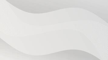 White Wavy Lines Abstract Loop Background. video