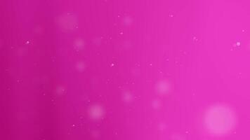 Pink Particle Background Loop Animation. video
